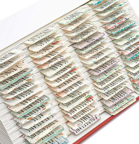 Bible Tabs Old and New Testament (Nature)